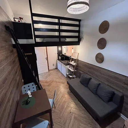 Apartmán Citybase L Wojewodzka Street Ii Katovice